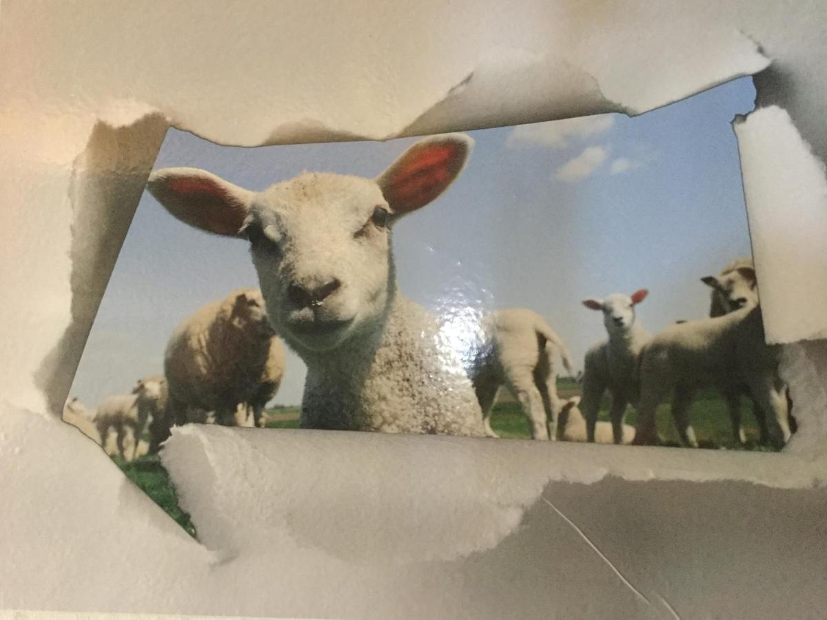 مبيت وإفطار Montmartin-sur-Mer Le Loup Dans La Bergerie المظهر الخارجي الصورة